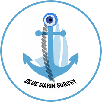 Blue Marin Survey