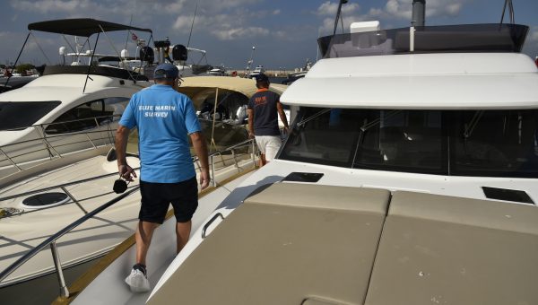 Kapsamı Sınırlı Sörvey