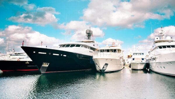 Satış Öncesi Sörvey